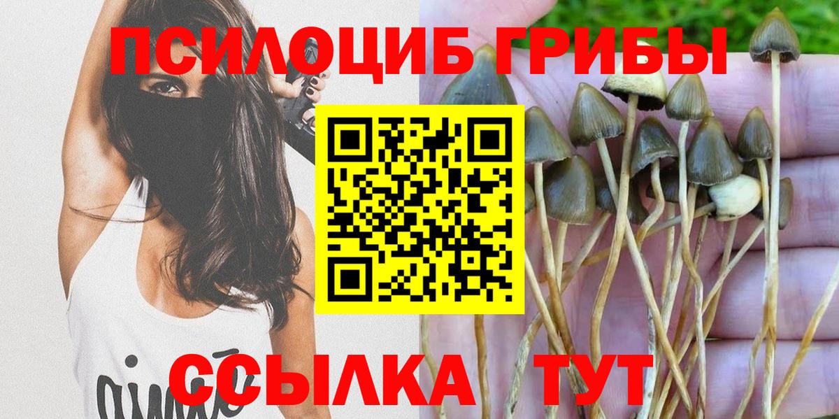 Апшеронск  Галлюциногенные грибы Psilocybine cubensis  где купить наркоту  Вход с VPN 